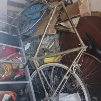 دوچرخه کورسی|دوچرخه، اسکیت، اسکوتر|رشت, کوی مهر|دیوار