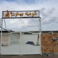 شومینه برقی منبتی ناروین کوچک|بخاری، هیتر، شومینه|تهران, آذری|دیوار