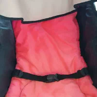 کالسکه|کالسکه و لوازم جانبی|سبزوار, کاشفی شمالی (دادگستری)|دیوار