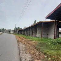 مغازه شمال استان گیلان