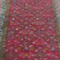 فرش طبعی ماهی|فرش|پارسآباد, |دیوار