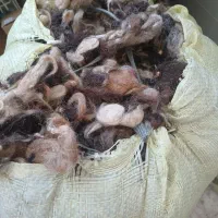 پشم گوسفندی 6 کیلو