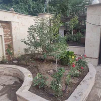 خدمات باغبانی|خدمات باغبانی و درختکاری|کرج, کوی کارمندان شمالی|دیوار