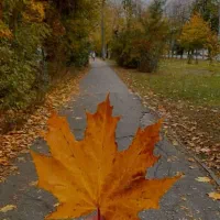 یک عدد سنجاق بزرگ بدل رنگ ثابت