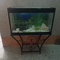 اکواریوم سالم بزرگ بدون شکستگی