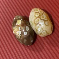 سرکتاب استخاره