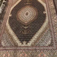 جفت۶متری ماهی مرینوس