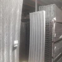 توری رابیتس ( راویز)