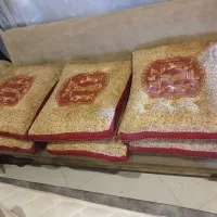 6 عدد پشتی