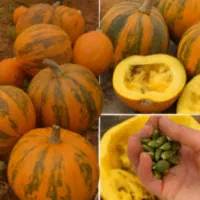 رازی که کمتر کسی بهت گفته (مخصوص آقایون)