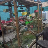 قفس به همراه تمام پرنده ها و وسایلشون