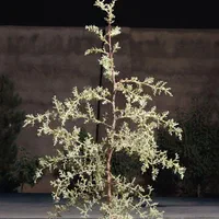 راهنمایی شغلی