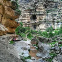 گم شده