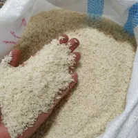 فروش عمده برنج هاشمی و دوم سیاه