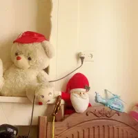 هم خونه