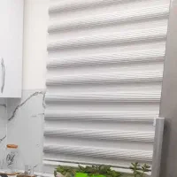 پرده زبرا