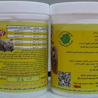 سرلاک طوطی وعروس هلندی
