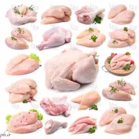 قطعه بندی مرغ در شرکت