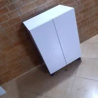 جاکفشی مگنتی