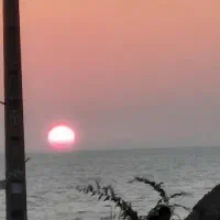 زمین 420 متر بندر رستمی