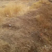 زمین شهری ۲۴۴متری دوره چگنی