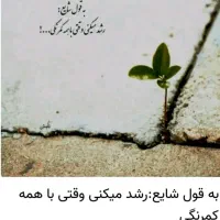 منزل-اجاره-ایی-طبقه-همکف