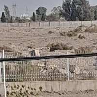 زمین-کمیته-پشت-شرکت-نفت