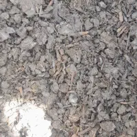 کود کبوتر فروشی