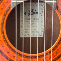 گیتار Aria AK80|گیتار، بیس، امپلیفایر|رشت, گلسار|دیوار