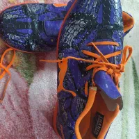 یه جفت کفش سالنی|کیف، کفش، کمربند|کبودرآهنگ, |دیوار