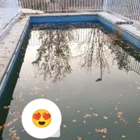 باغ بامجوز و آب و برق عالی قابل معاوضه