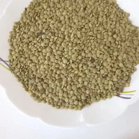 عدس تمیز و زودپز محصول امسال