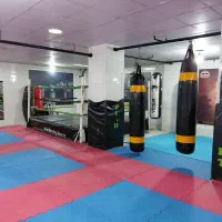 آموزش بوکس وکیک بوکسینگMMAتکواندوژیمناستیک ایروبیک|خدمات آموزشی|تبریز, |دیوار