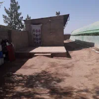 اجاره گلخانه و دامداری چترود|اجارهٔ دفتر صنعتی، کشاورزی، تجاری|کرمان, |دیوار