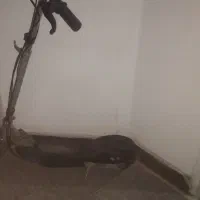 اسکوتر برقی