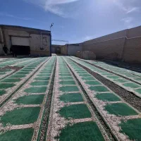 کارخانه قالی شویی ادیب شعبه اردبیل|خدمات نظافت|اردبیل, |دیوار