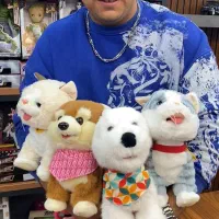 سگ و گربه حسگردار هوشمند قلاده دار پولیشی