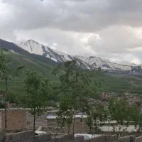 تابلو فرش منظره و شخصی