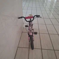 دوچرخه ۱۴ صورتی