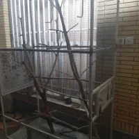 قفس پرنده