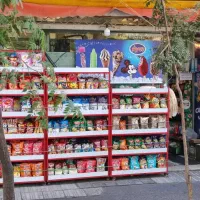 اجاره سوپرمارکت فعال واقع در پونک