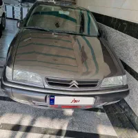 زانتیا استثنایی (بدون رنگ)