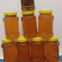 عسل کنار طبیعی و خوشعطر ایلام