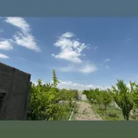 زمین باغی 459 متری با آب و برق ملکی|پیش‌فروش املاک|مشهد, آیت الله کاشانی|دیوار