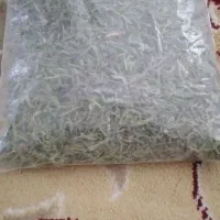 مرزه خشک