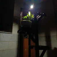 استند گل