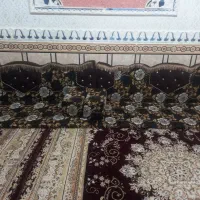 ۳ جفت پشتی خلیجی ۲ متری هستند