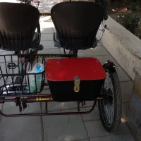 سه چرخه برقی