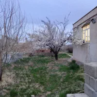 همخونه میشم  خونه ندارم.