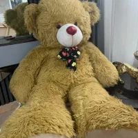 خرس بزرگ ۱/۵متری